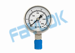 Pressure gauge